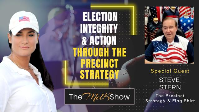 Mel K & Steve Stern | Election Integrity & Action Through the Precinct Strategy – THE MEL K SHOW