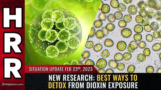 Situation Update, Feb 23, 2023 – New research: Best ways to DETOX from DIOXIN exposure – NaturalNews