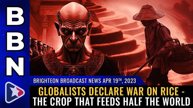 BBN, Apr 19, 2023 – Globalists declare war on RICE – the crop that feeds HALF the world – NaturalNews