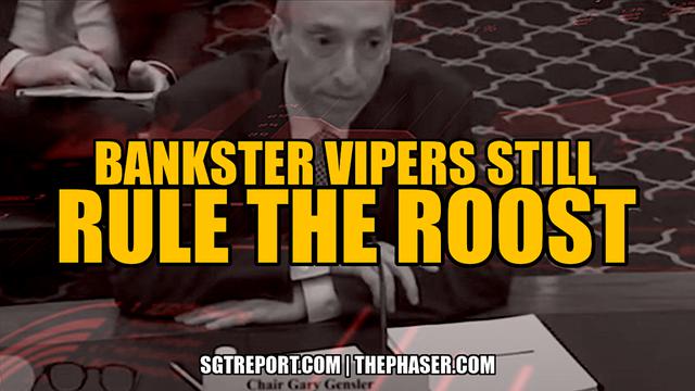 BANKSTER VIPERS STILL RULE THE ROOST – SGT Report