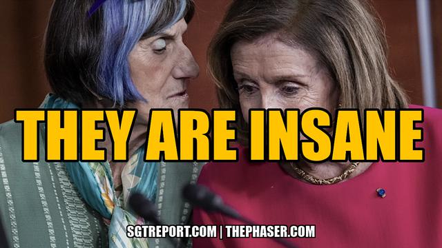 THEY ARE 100% CERTIFIABLY INSANE — Matt & SGT – SGT Report