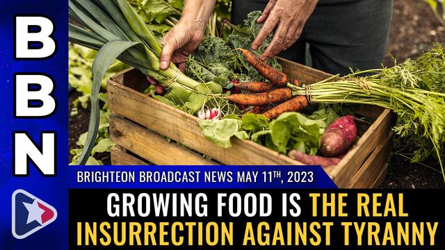 BBN, May 11, 2023 – Growing food is the real insurrection against tyranny – NaturalNews