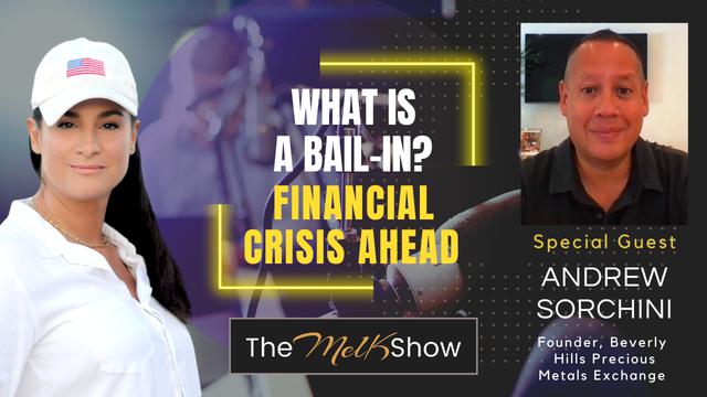 Mel K & Andrew Sorchini | What is a Bail-In? – Financial Crisis Ahead – THE MEL K SHOW