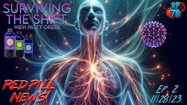 The 4th Turning, Surviving The Shift with Patty Greer on Red Pill News – RedPill78