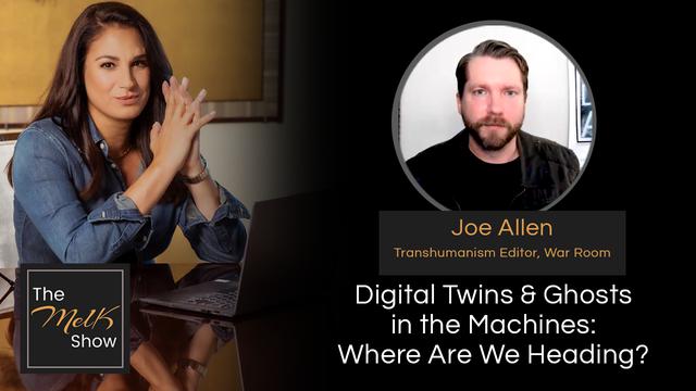 Mel K & Joe Allen | Digital Twins & Ghosts in the Machines: Where Are We Heading? – THE MEL K SHOW