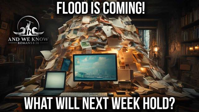 1.3.24: INFO Flood incoming! CEOS departing in droves, Flight logs, Lawfare, Cali Ballots, Celine – And We Know