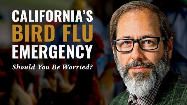 California's Bird Flu Emergency: Should You Be Worried? – DrAndrewKaufman